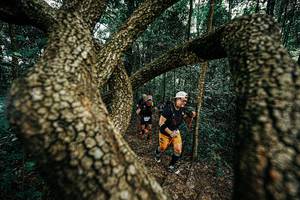 BIB: 
                            <button type="button" onclick="openModal(25393933)" class="btn btn-primary btn-sm float-right btn-popup" data-toggle="modal" data-target=".modal-high-quality">
                        <i class="fas fa-shopping-cart"></i> Add to Cart
                    </button>
                                            <button type="button" onclick="isThisMe(25393933, true)" class="btn btn-success btn-sm float-right btn-popup btn-isme hidden" data-toggle="tooltip" data-placement="bottom" title="นี่คือรูปของคุณใช่ไหม คลิกที่นี่เพื่อเอาเข้าอัลบั้ม">
                        <i class="fas fa-plus"></i> Add to album
                    </button>
                    <button type="button" onclick="isThisMe(25393933, false)" class="btn btn-warning btn-sm float-right btn-popup btn-isnotme hidden">
                        <i class="fas fa-ban"></i> Remove from album
                    </button>